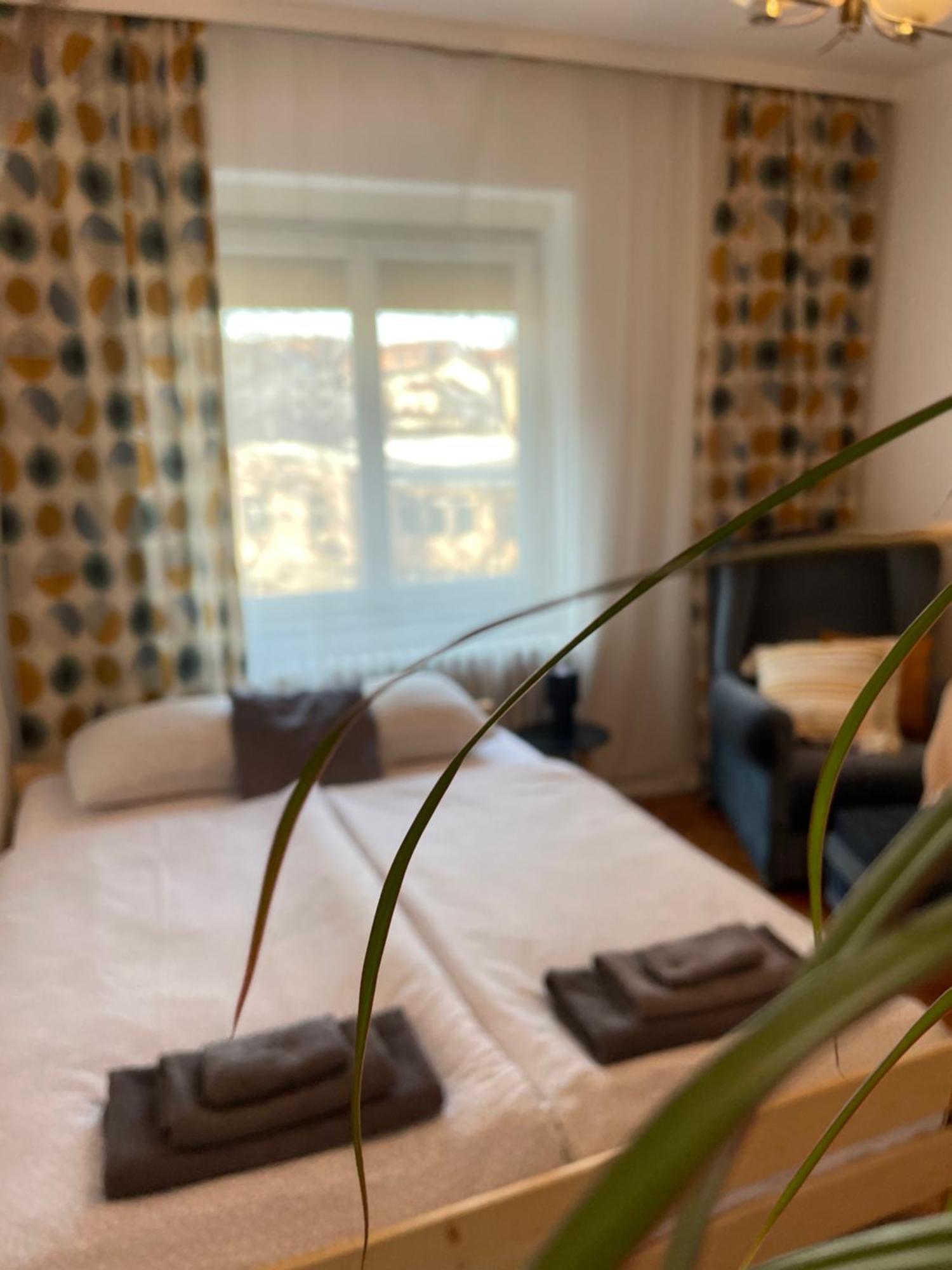 Lavanda Novi Sad